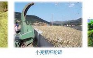 農(nóng)民科學(xué)發(fā)展新思路，秸稈綜合利用成為賺錢好門路之秸稈顆粒機(jī)