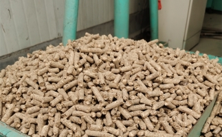 在燃燒時，水分大的生物質(zhì)顆粒會出現(xiàn)哪些問題？