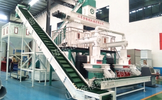 開鋸末顆粒機顆粒廠需要怎么做？