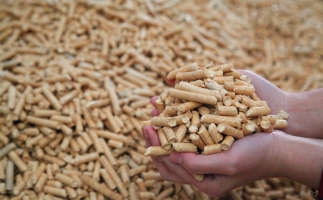 鋸末顆粒機(jī)生物質(zhì)顆粒，你需要知道的常識問題
