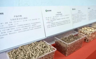 甘肅省靜寧縣仁大鎮(zhèn)生物質廢棄物綜合利用項目建成投產